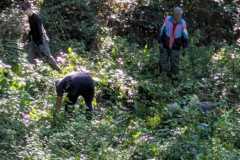 signal-2025-09-06-13-37-35-111-1