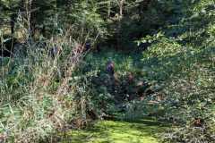 signal-2025-09-06-13-37-35-111