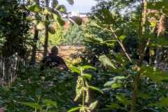 signal-2025-09-06-13-38-03-815