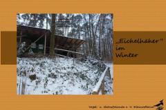 4a-Winter