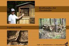 7-Bruthaufen-Insektenhotel