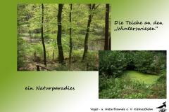4-Teiche