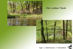5-Der-untere-Teich