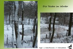 7-Teiche-im-Winter