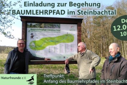 Einladung zur Begehung des Kleinostheimer Baumlehrpfades im Steinbachtal