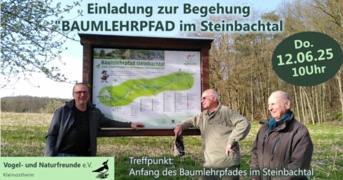 Einladung zur Begehung des Kleinostheimer Baumlehrpfades im Steinbachtal